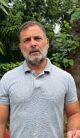 ‘Let’s get rid of this regime’, says Rahul Gandhi after Pradhan’s resignation ‘Let’s get rid of this regime’, says Rahul Gandhi after Pradhan’s resignation