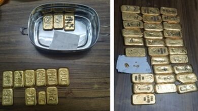 DRI seizes over 27 kg smuggled gold in multi-city operations, 12 held DRI seizes over 27 kg smuggled gold in multi-city operations, 12 held