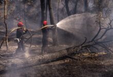 Macron thanks firefighters and security forces for efforts amid wildfires