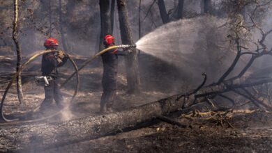 Macron thanks firefighters and security forces for efforts amid wildfires