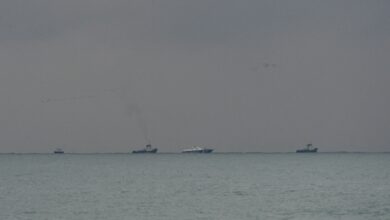 MEA issues advisory for Indians intending to take employment on commercial vessels in Black Sea