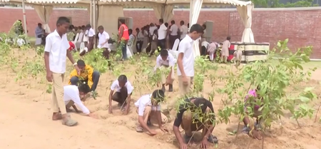 Ek Ped Maa Ke Naam: PM Modi highlights record plantation, renews call for conservation Ek Ped Maa Ke Naam: PM Modi highlights record plantation, renews call for conservation