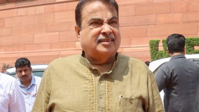 Gadkari moves Bombay HC against AI deepfakes linking him to E20 policy gains