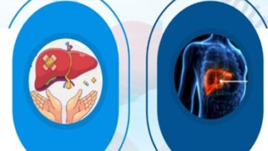 India doubles down on hepatitis prevention drive with free testing, integrated services India doubles down on hepatitis prevention drive with free testing, integrated services