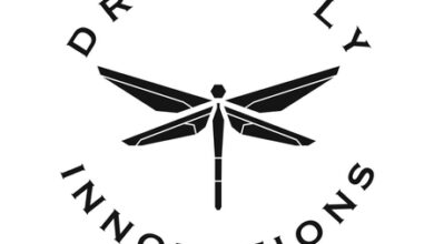 Dreamfly Innovations to build 100 MWh aviation battery plant to support Make in India, Atmanirbhar Bharat
