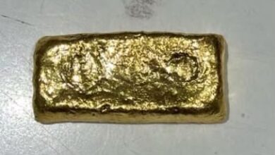 Woman held at Ahmedabad airport with gold concealed inside her body