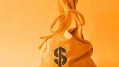 India registers record gross FDI inflow of .84 billion in FY26