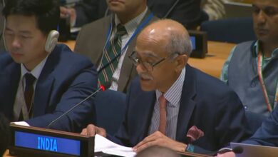 India decries UNSC reform held hostage by small group
