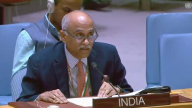 India reaffirms strong support for Palestine, backs two-state solution at UNSC