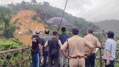 Nagaland: Two brothers die in landslide, mother injured