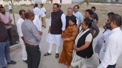 Gujarat completes 70 pc of kharif sowing as cotton and groundnut dominate acreage Gujarat completes 70 pc of kharif sowing as cotton and groundnut dominate acreage