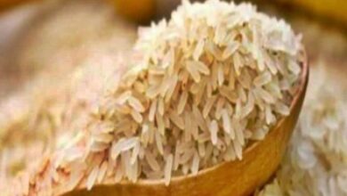 Use of broken rice for ethanol production is not impacting inflation: Govt Use of broken rice for ethanol production is not impacting inflation: Govt