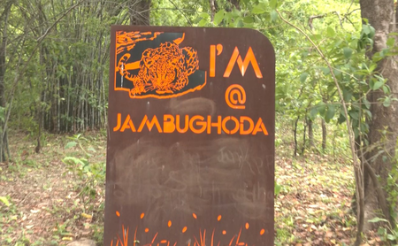 Gujarat: Dhanpuri eco-tourism centre in Panchmahal emerges as tourist hotspot