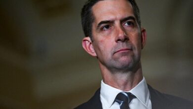 US senator warns against Chinese AI models