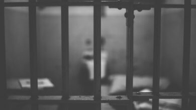 Torture persists in Pakistan’s detention facilities amid weak safeguards, lack of accountability: Rights body