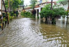 Odisha govt orders immediate repair of flood-damaged roads, buildings