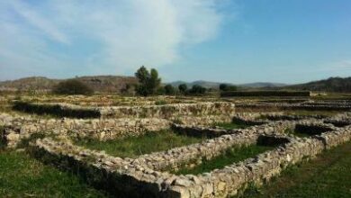 Cultural heritage belongs to entire world: India on reconstruction by Pak in Taxila