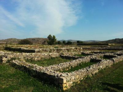 Cultural heritage belongs to entire world: India on reconstruction by Pak in Taxila