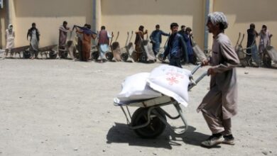 UN warns of acute food insecurity in Afghanistan UN warns of acute food insecurity in Afghanistan