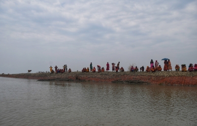 Bengal govt starts process for mangrove restoration on encroached Sundarbans forestland Bengal govt starts process for mangrove restoration on encroached Sundarbans forestland