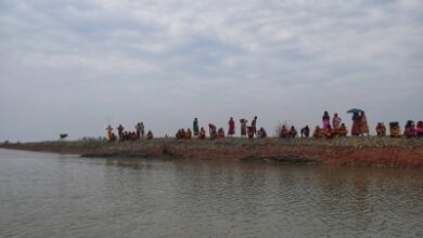 Bengal govt cracks down on fish farms built illegally after clearing Sundarbans mangroves Bengal govt cracks down on fish farms built illegally after clearing Sundarbans mangroves