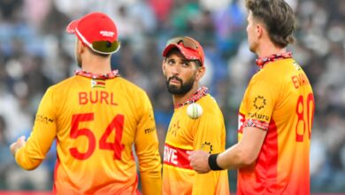 3rd T20I: Learnings from India series crucial to bridge gap with top teams, says Raza
