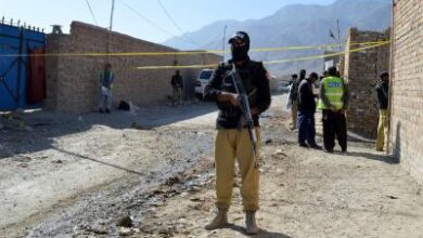 Pakistan’s struggle with terrorism consequence of strategic choices, evolving militant ecosystems: Report