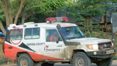 Five killed in gold mine collapse in southwest Kenya Five killed in gold mine collapse in southwest Kenya