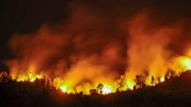 Spain’s wildfire crisis continues as national emergency ends in Madrid, Avila