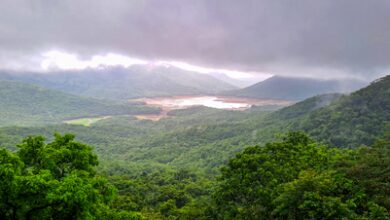 Heavy rain, strong winds to lash Western Ghats districts of TN till August 6
