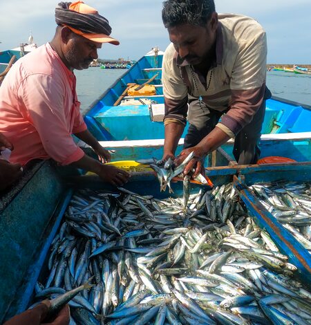 MOSPI seeks feedback on concept paper for asset accounts of marine fish resources