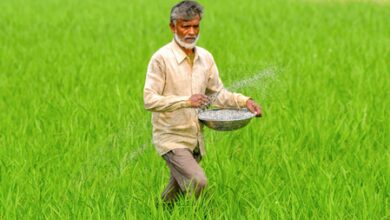 Adequate fertilisers supplied to farmers in ongoing kharif season: Govt