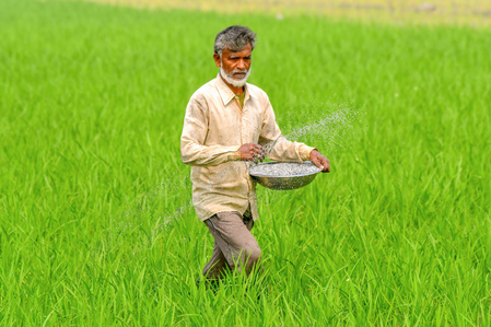 Adequate fertilisers supplied to farmers in ongoing kharif season: Govt