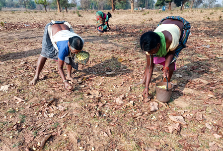 Sharp rise in funds for rural and tribal areas fuelling inclusive growth: Govt Sharp rise in funds for rural and tribal areas fuelling inclusive growth: Govt