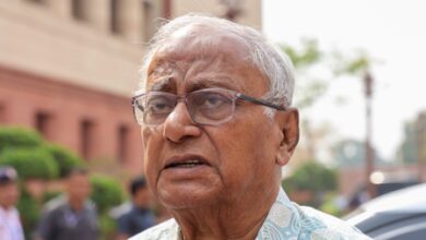 Naxal means people who want to change system; nothing wrong in it, says Trinamool MP