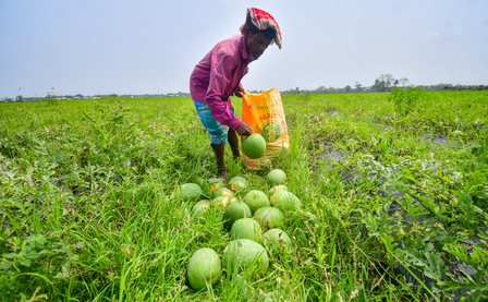 Every Re 1 under KCC‑MISS adds Rs 2.30 to farm value: Minister Every Re 1 under KCC‑MISS adds Rs 2.30 to farm value: Minister