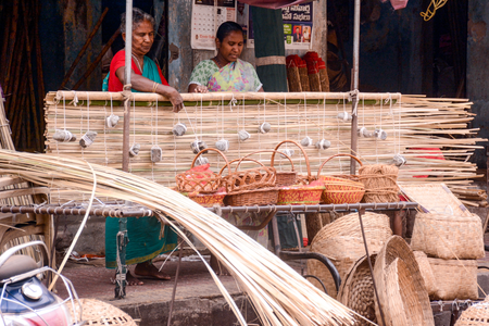 Meghalaya launches bamboo carbon project to restore degraded land, boost rural incomes Meghalaya launches bamboo carbon project to restore degraded land, boost rural incomes
