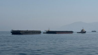 Strait of Hormuz crisis underscores need for diversified energy routes: Report