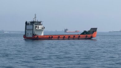 Strait of Hormuz to be opened only under Iran’s command: Deputy FM