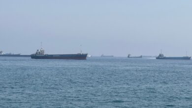 Iran says agreement reached with Oman on map of new route in Hormuz Strait