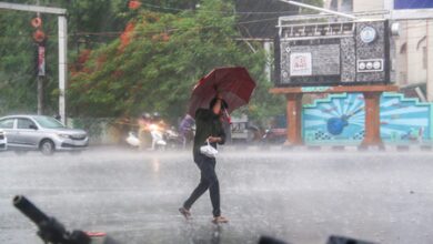 Monsoon set to intensify in MP with fresh spell of rainfall from August 4 Monsoon set to intensify in MP with fresh spell of rainfall from August 4