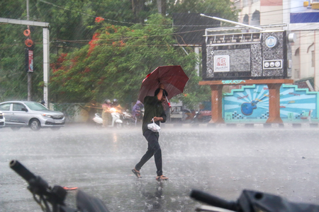 Monsoon set to intensify in MP with fresh spell of rainfall from August 4
