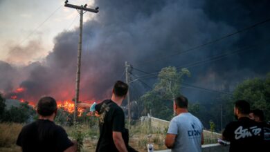 Two dead, four injured during wildfire on Greek island of Salamina Two dead, four injured during wildfire on Greek island of Salamina