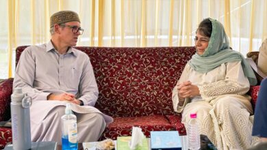 Mehbooba Mufti responsible for Article 370 abrogation, says JKNC on PDP chief’s ‘dimagi Naxal’ remark Mehbooba Mufti responsible for Article 370 abrogation, says JKNC on PDP chief’s ‘dimagi Naxal’ remark