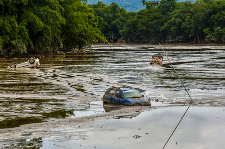 Assam flood: Teen’s heroic bid to save puppy ends in tragic loss