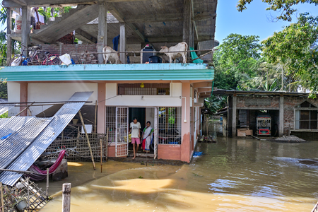 Assam flood: Power bill waiver for Sivasagar, Charaideo; seven districts affected Assam flood: Power bill waiver for Sivasagar, Charaideo; seven districts affected