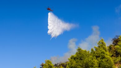 More resources deployed as Belgium wildfire contained in accessible areas