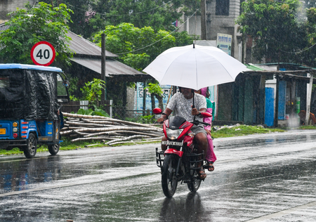 Heavy rain forecast in North Bengal till Aug 5; scattered showers to continue in south Heavy rain forecast in North Bengal till Aug 5; scattered showers to continue in south