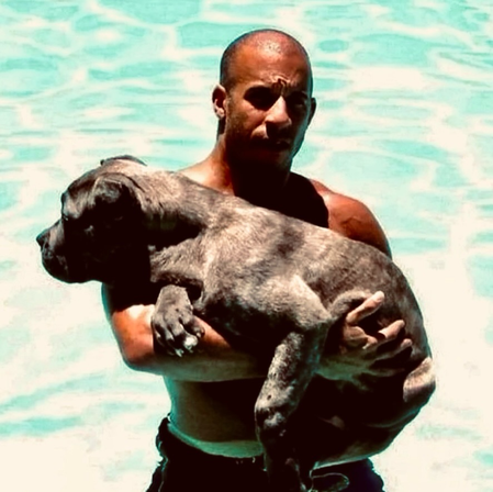 Vin Diesel marks 25 years of ‘Fast & Furious’ with original film’s global re-release ahead of ‘Fast Forever’