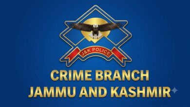 J&K: Crime Branch files chargesheet in Rs 3.11 crore bank fraud